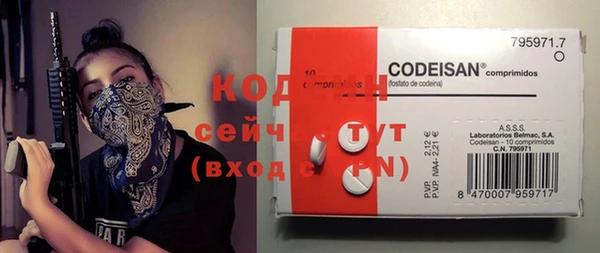 шишки Бронницы