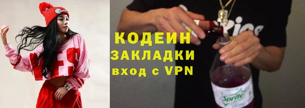 шишки Бронницы