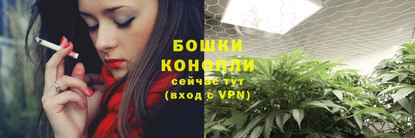 шишки Бронницы