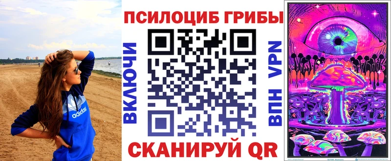Галлюциногенные грибы GOLDEN TEACHER Купить закладки Валуйки